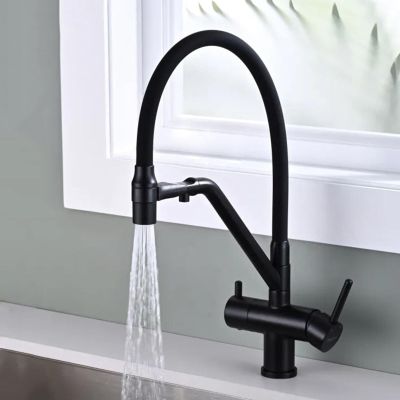 Stylish Black Copper Kitchen Faucet with Pull-Out Drinking Water Filter Tap