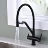 Stylish Black Copper Kitchen Faucet with Pull-Out Drinking Water Filter Tap view 1