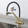 Stylish Black Copper Kitchen Faucet with Pull-Out Drinking Water Filter Tap view 2