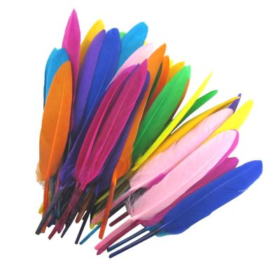 Mixed Color Feathers - 50 Pack