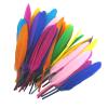 Mixed Color Feathers - 50 Pack view 1
