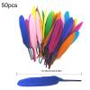 Mixed Color Feathers - 50 Pack view 2