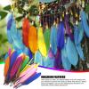 Mixed Color Feathers - 50 Pack view 4