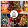 Christmas Snow Globe Lantern view 4