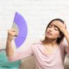Wedding Folding Fan view 4