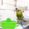 PERSELOSO Hanging Plastic Parrot Feeder, Green view 4