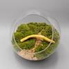 HOMOCONO 6-Piece Artificial Root Decoration view 4