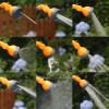 Gralara Watering Wand for Agricultural Gardens, Garden Hoses, Lawn Cleaning, and Plant Watering view 4