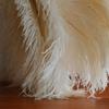 Schlampe Ostrich Feather Duster with Wooden Handle, Black view 3