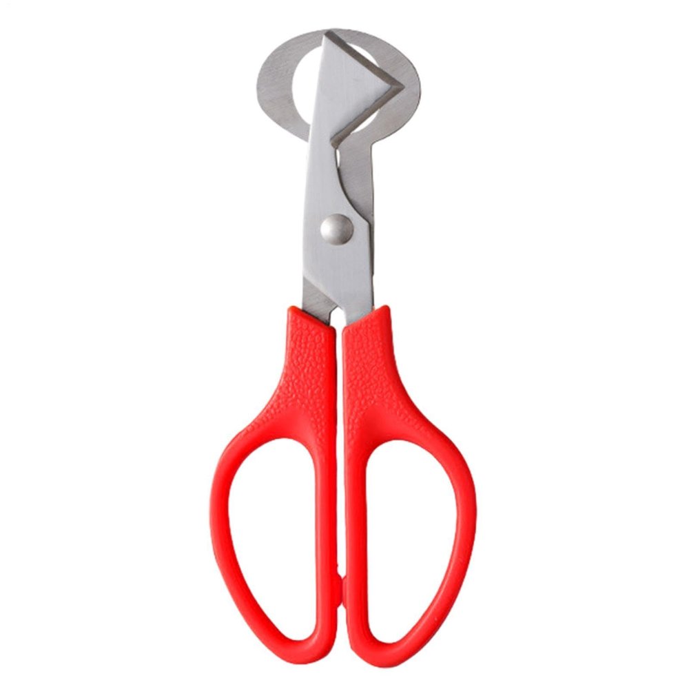 Quail Egg Scissors - Multicolored Steel