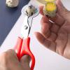 Quail Egg Scissors - Multicolored Steel view 2
