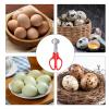 Quail Egg Scissors - Multicolored Steel view 4
