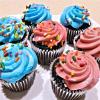 8-Piece Stainless Steel Piping Tip Set with Coupler view 3