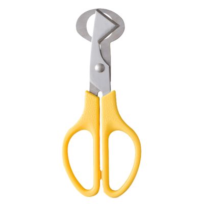 Quail Egg Cutter - Multicolor Steel