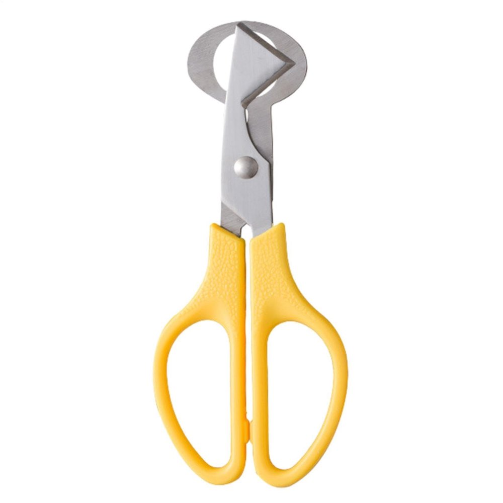 Quail Egg Cutter - Multicolor Steel