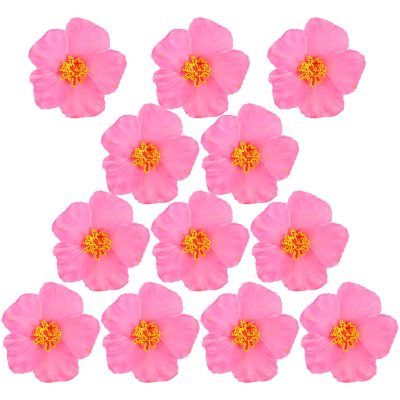 CIMAXIC Artificial Hibiscus Flowers - 10 Pieces