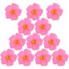 CIMAXIC Artificial Hibiscus Flowers - 10 Pieces view 1