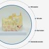 GPDNBIEU Bone Tissue and Bone Marrow Internal Structure Model view 2