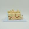 GPDNBIEU Bone Tissue and Bone Marrow Internal Structure Model view 3