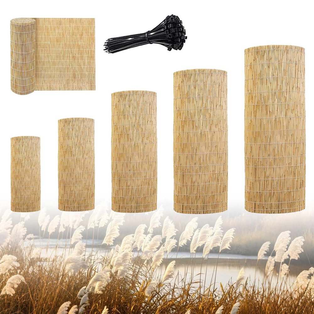Reed Privacy Screen Mat, Natural White, 160 x 1000 cm