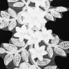 AUTSUPPL White Lace Floral Embroidered Appliqués - 1 Pair view 4