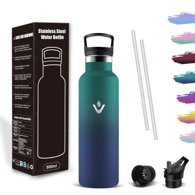 Mujigaga Stainless Steel Water Bottle, Leakproof 500 ml Insulated Bottle with Straw, BPA-Free, Carbonated Drink Compatible
