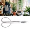 MasYosh Stainless Steel Bonsai Scissors, Professional Bud-Pruning Shears for Indoor and Outdoor Bonsai Plants, Silver, 210 mm view 2