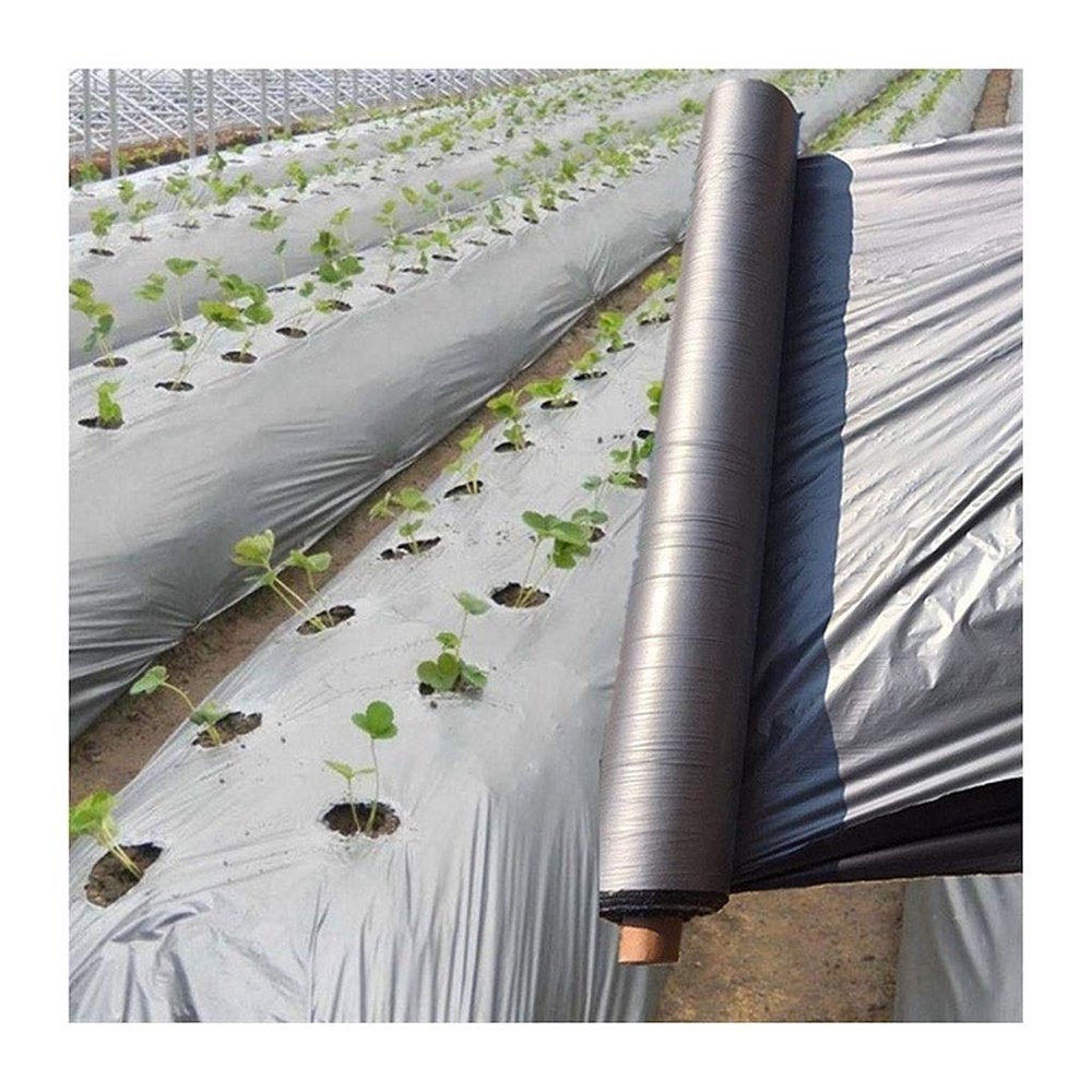 RybdaFDc 1-Piece 50 m Silver-Black Reflective Mulch Film, 0.012 mm, 1,200 mm Width