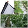 RybdaFDc 1-Piece 50 m Silver-Black Reflective Mulch Film, 0.012 mm, 1,200 mm Width view 2