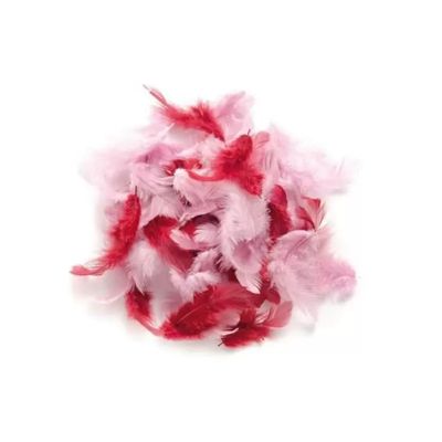 CREATIV DISCOUNT Decorative Feathers, Assorted Colors, 2g (Pink)