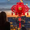 Palace Lantern, Red Chinese Lanterns view 3