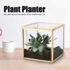 Alomejor Geometric Glass Planter with Gold Rim for Succulents, Home and Landscape Decor view 2