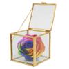 Alomejor Geometric Glass Planter with Gold Rim for Succulents, Home and Landscape Decor view 3