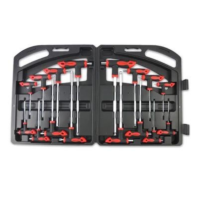 16-Piece T-Handle Torx and Hex Key Set, T10-T50 and H2-H10