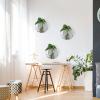 ROMISBABA 4-Piece Wall-Mounted Glass Vases, Round Terrarium Planters with Glossy Surface, Space-Saving Design for Living Room and Home view 4
