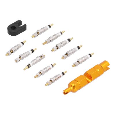 SENECESLI Bicycle Valve Core Remover Tool Set, 10-Piece Nickel-Plated Brass Repair Kit for Mountain Bikes (Yellow)