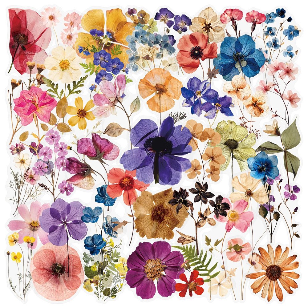 QZKJQDD 50 Pack Transparent Scrapbooking Stickers