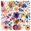 QZKJQDD 50 Pack Transparent Scrapbooking Stickers view 1