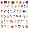 QZKJQDD 50 Pack Transparent Scrapbooking Stickers view 2