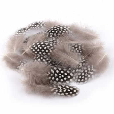 50 Pieces Natural Pheasant Feathers for Crafts