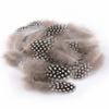 50 Pieces Natural Pheasant Feathers for Crafts view 1