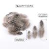 50 Pieces Natural Pheasant Feathers for Crafts view 4