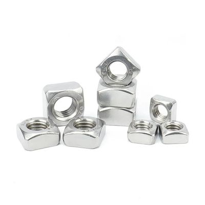 Stainless Steel 304 Square Nuts for Metalworking, Assorted Sizes, 156 Pieces (M10: 5 Pieces)