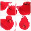 HYTROVE 4-Piece Realistic Red Foam Bird Decor view 3