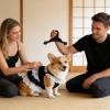 Pet Outfit Rack view 3