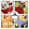 Pet Outfit Rack view 4