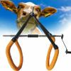 Cow Hip Lifting Tool for Postpartum Milking, Adjustable Steel Support Clamp for Lame Cows view 1