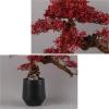 Artificial Maple Bonsai Tree with Ceramic Vase view 3