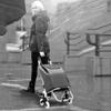 Portable, Foldable Shopping Trolley, Multifunctional Aluminum Utility Cart for Groceries, Vegetable Transport, and Travel view 2