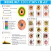 Iris Analyzer Camera, Professional Iridology Analyzer, Portable Iris Eye Analyzer, 13 MP High-Resolution Camera with Driver-Free Analysis Software view 4